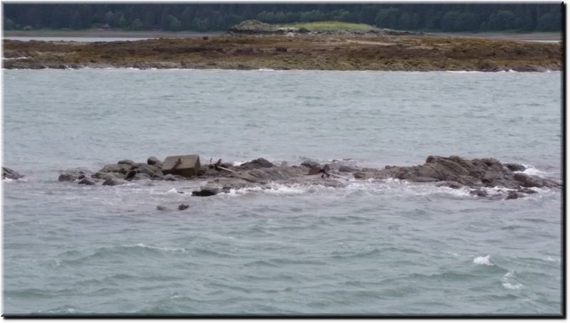 20150702_084456-Dont let this happen to you.  Two props, shafts, and struts ripped off on a marked rock.jpg